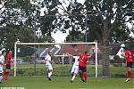 s1744_ARC-Foto_Aarlanderveen-RKDES.jpg