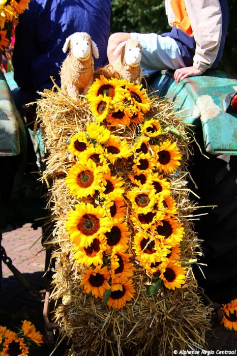 Klik op de foto om originele grootte te bekijken