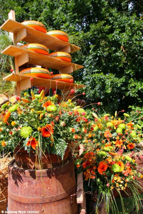 Klik op de foto om originele grootte te bekijken