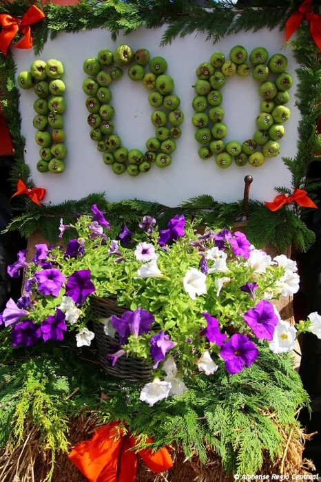 Klik op de foto om originele grootte te bekijken