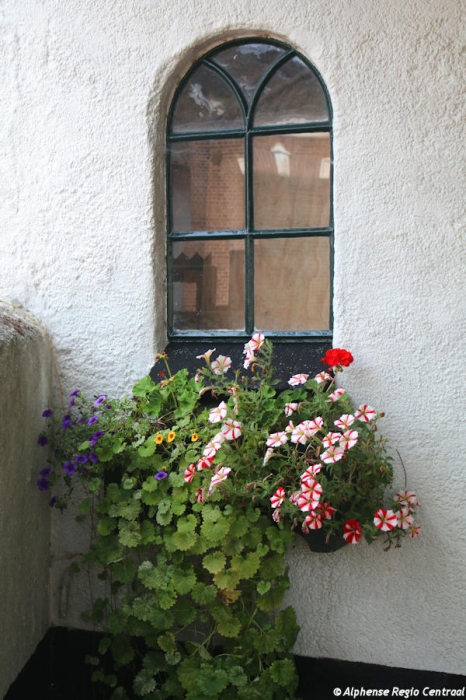 Klik op de foto om originele grootte te bekijken