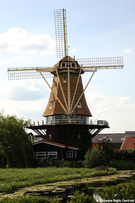 Klik op de foto om originele grootte te bekijken