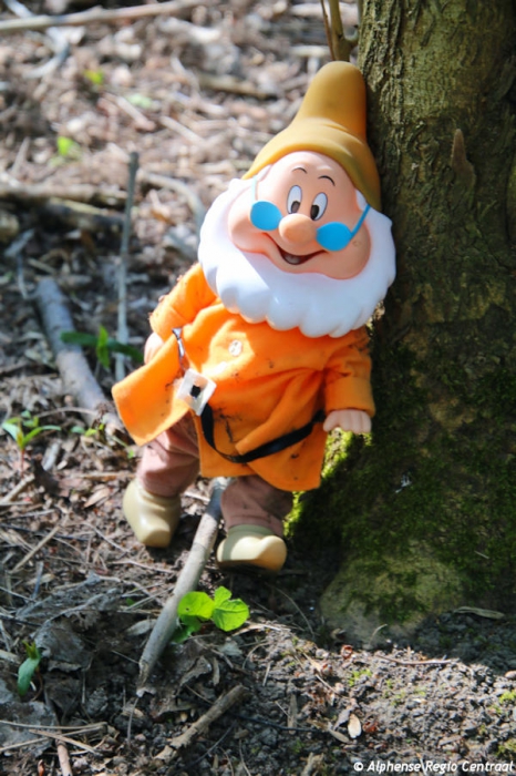 Klik op de foto om originele grootte te bekijken