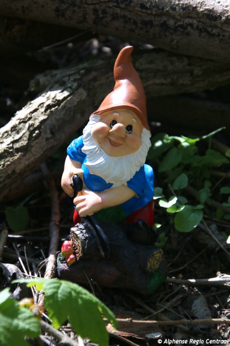 Klik op de foto om originele grootte te bekijken