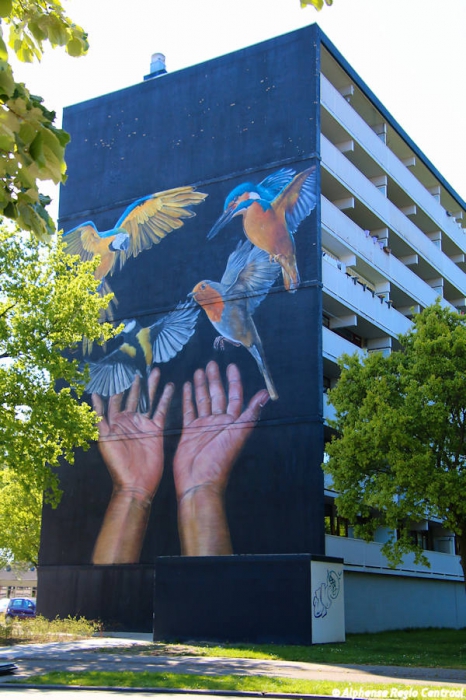 Klik op de foto om originele grootte te bekijken