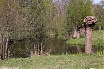 s5572_ARC-Foto_Weteringpad_Alphen.jpg