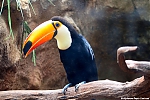 1882_Errel2000_Avifauna_180820.jpg