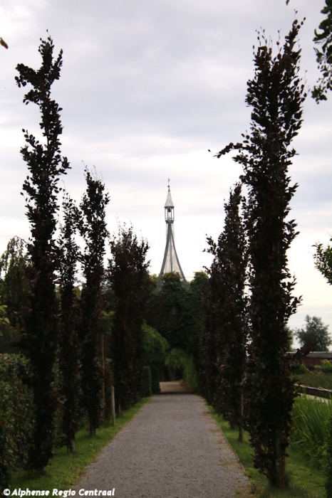 Klik op de foto om originele grootte te bekijken