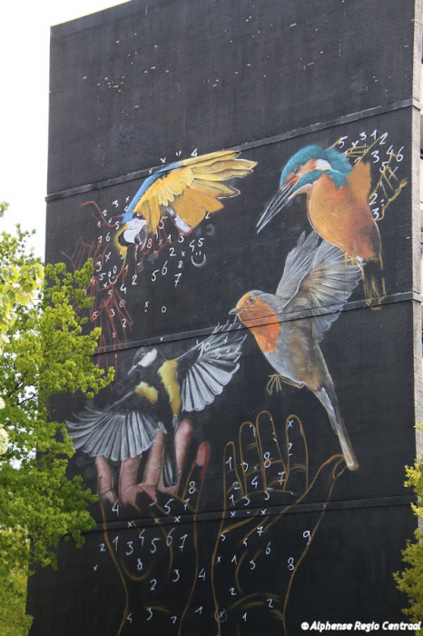 Klik op de foto om originele grootte te bekijken