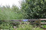 s8736_ARC-Foto_Natuurgebied_IJsvogel_Ravelijnpad.jpg
