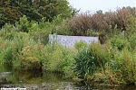 s8766_ARC-Foto_Natuurgebied_IJsvogel_Ravelijnpad.jpg
