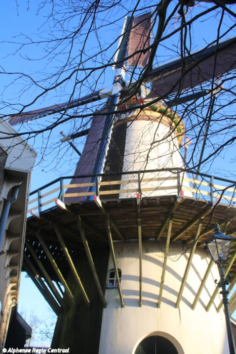 Klik op de foto om originele grootte te bekijken