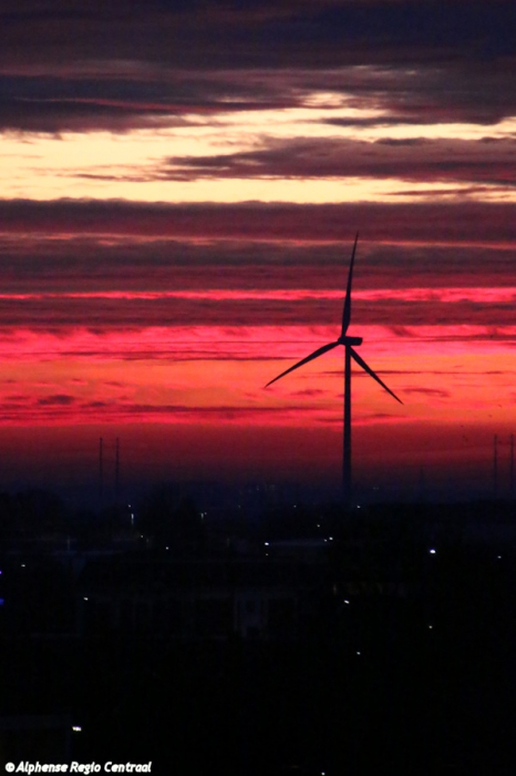 Klik op de foto om originele grootte te bekijken