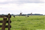 s0488_Errel2000_Achtermiddenweg_Aarlanderveen.jpg